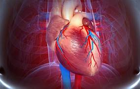 Cardiac Disease